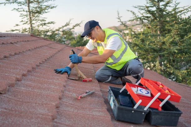 Sealant for Roof in Pocatello, ID